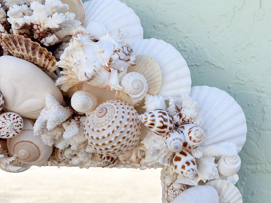 Naturally Beautiful Shell Mirror