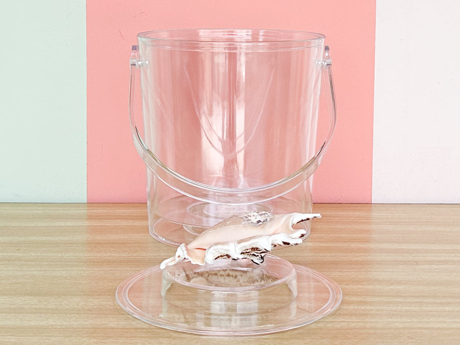 Spider Conch Lucite Ice Bucket