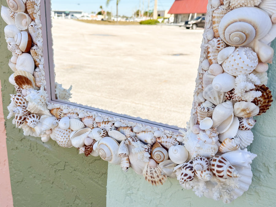 Naturally Beautiful Shell Mirror