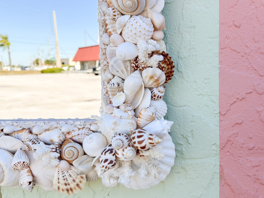 Naturally Beautiful Shell Mirror