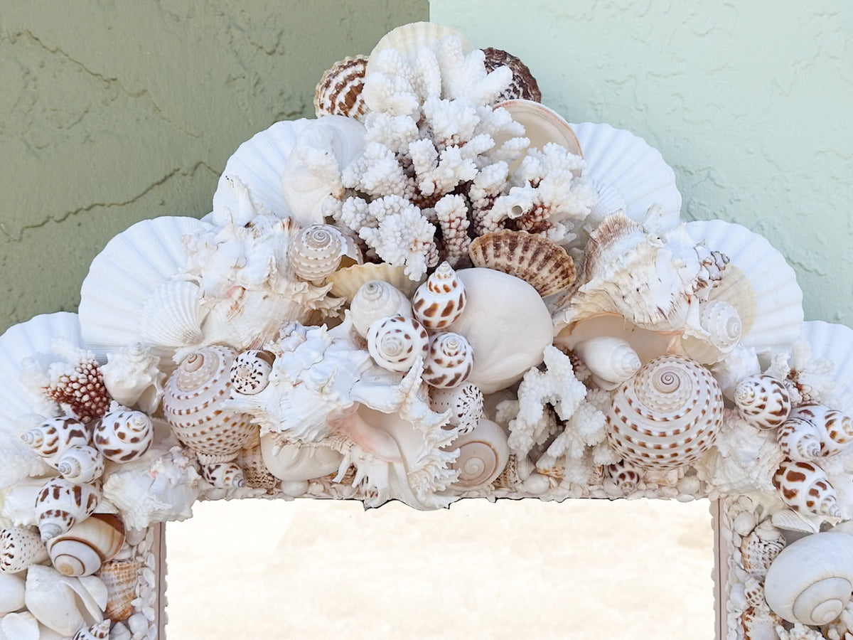 Naturally Beautiful Shell Mirror