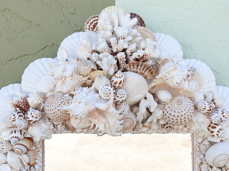 Naturally Beautiful Shell Mirror