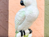 Yellow and Green Tropical Cockatoo