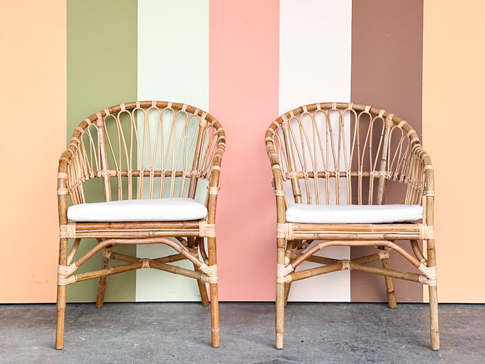 Pair of Coastal Chic Rattan Accent Chairs