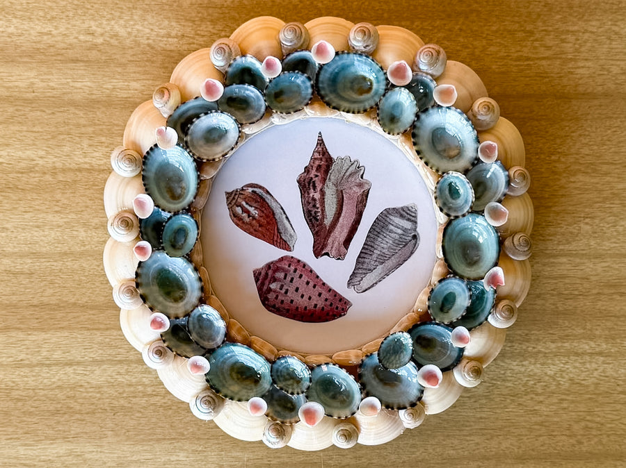 Colorful Shell Chic Frame