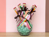 Palm Beach Regency Pencil Bundle