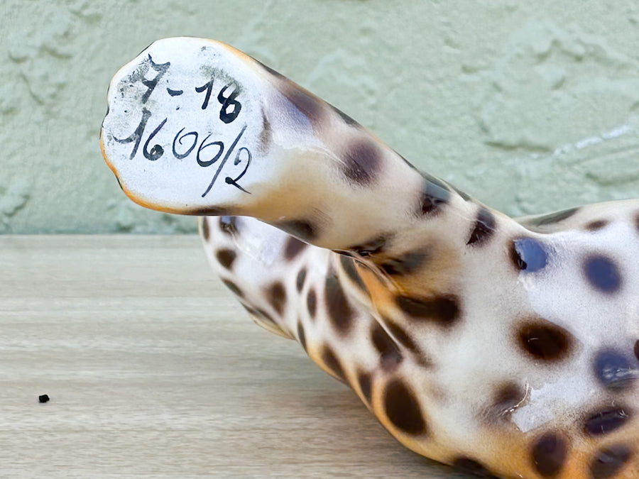 Petite Fierce Italian Leopard