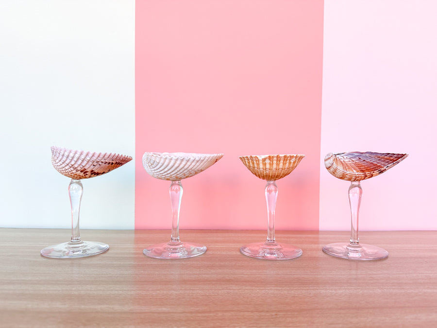 Set of Four Shell Coups