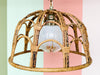 Pair of Rattan Pendants with Murano Glass