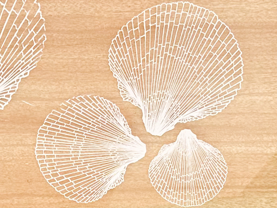 Etched Shell Lucite Tray