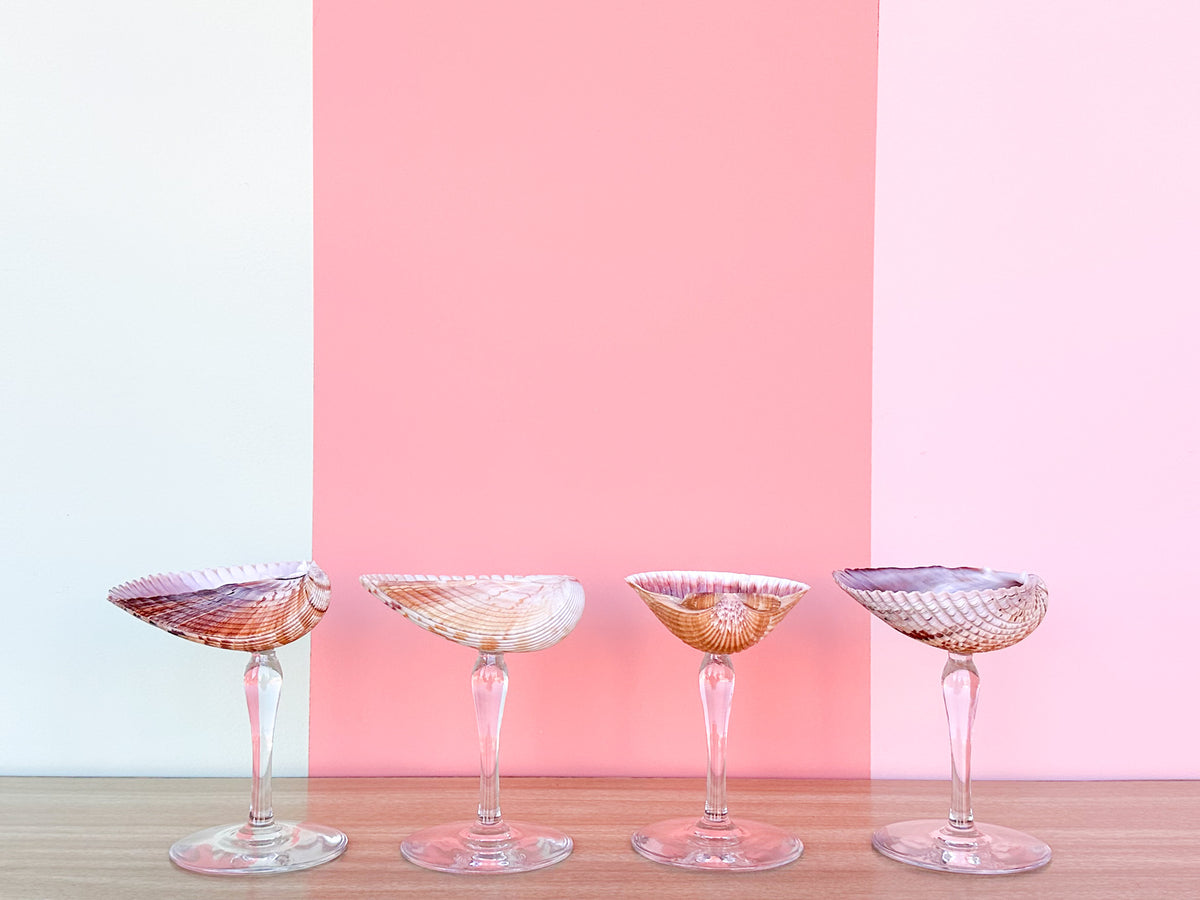 Set of Four Shell Coups