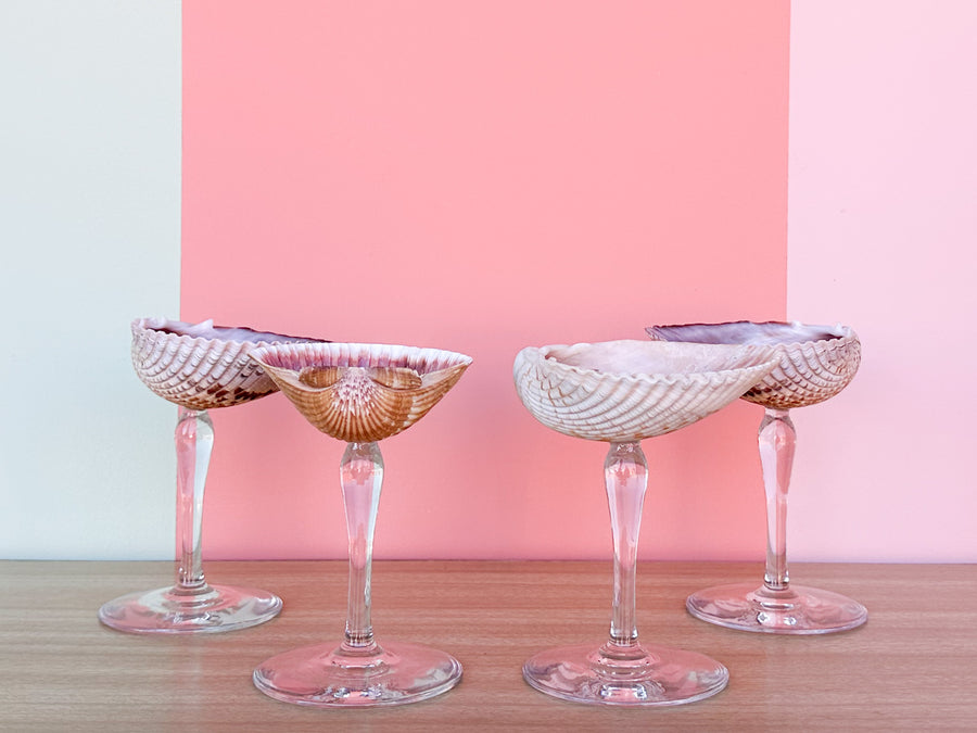Set of Four Shell Coups