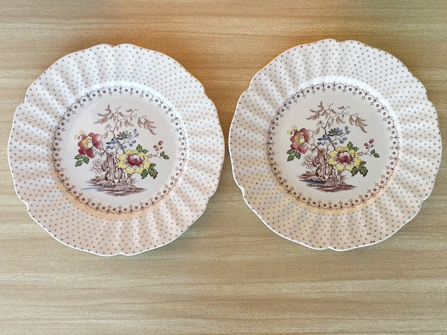 Set of Six Transferware Royal Doulton Dinner Plates