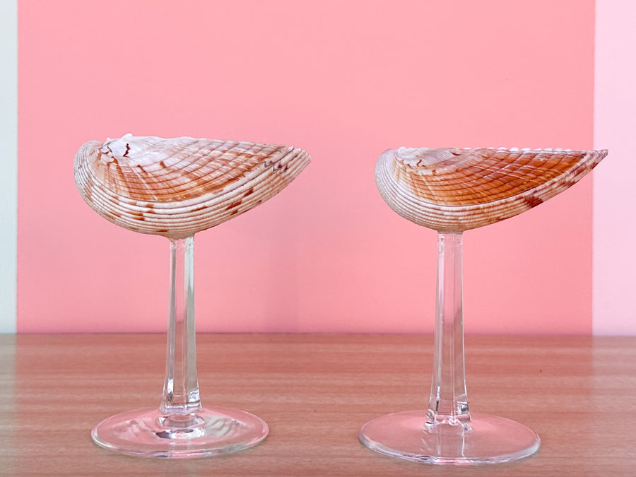 Set of Four Shell Coups