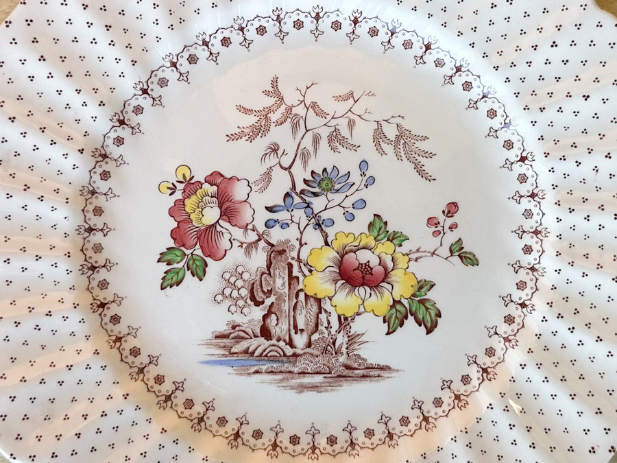 Set of Six Transferware Royal Doulton Dinner Plates