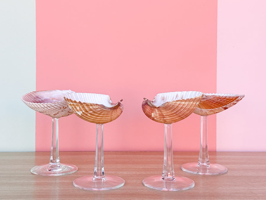 Set of Four Shell Coups
