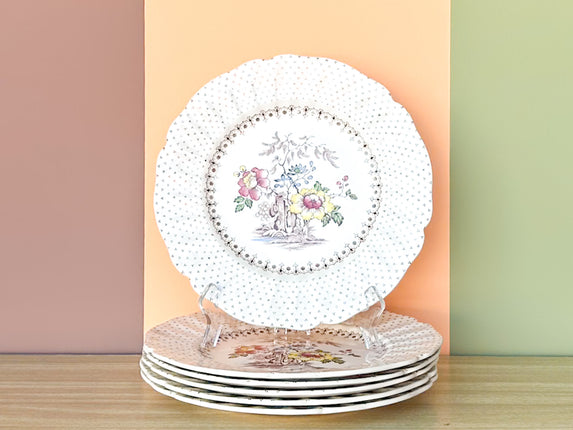 Set of Six Transferware Royal Doulton Dinner Plates