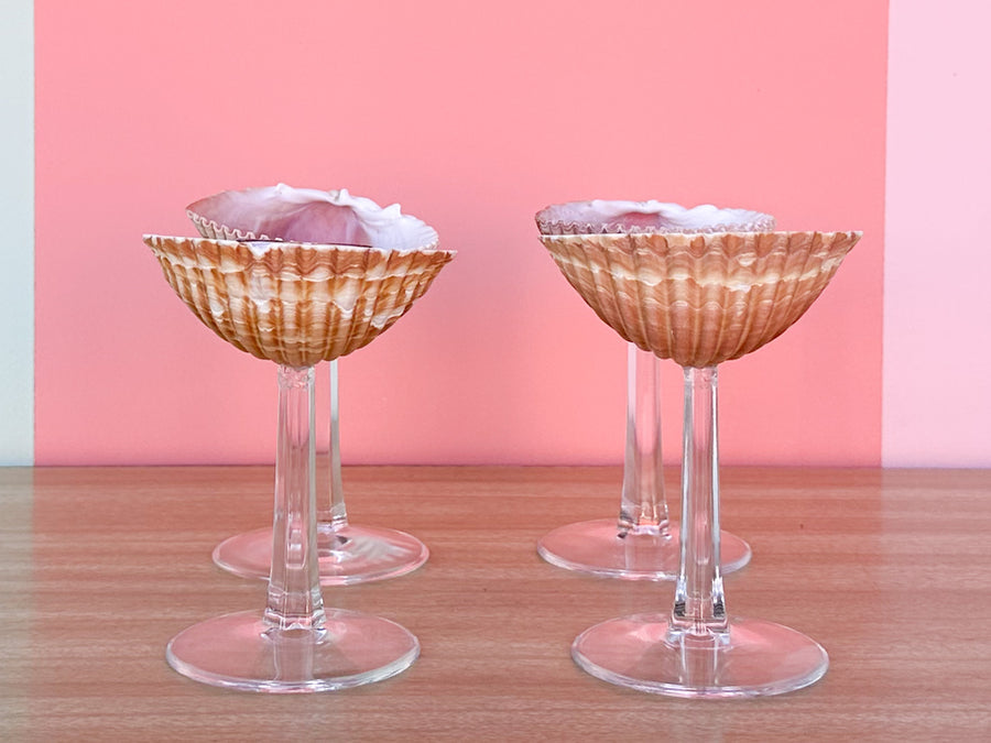 Set of Four Shell Coups