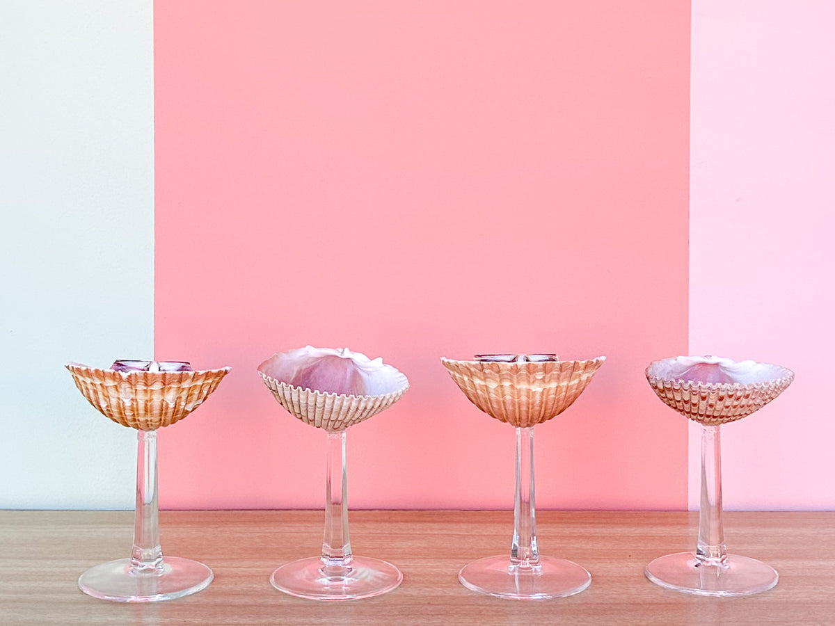 Set of Four Shell Coups
