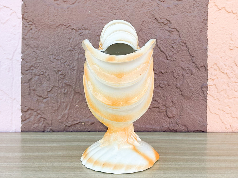 Coral Shell Cachepot