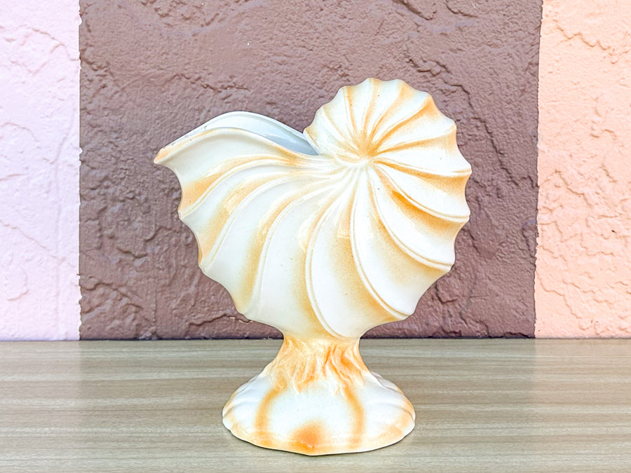 Coral Shell Cachepot