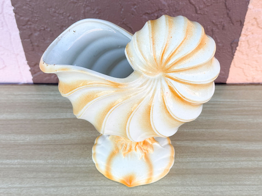 Coral Shell Cachepot