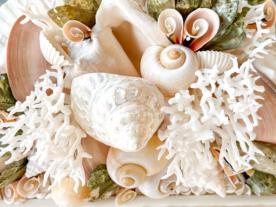 Pink and Green Tropical Shell Mirror