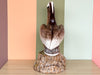 Large Old Florida Pelican Signed Townsends