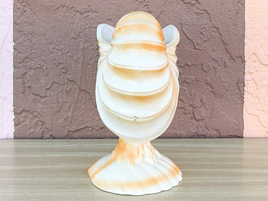 Coral Shell Cachepot
