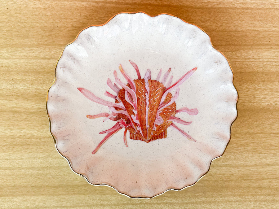 Set of Four Decoupage Shell Plates