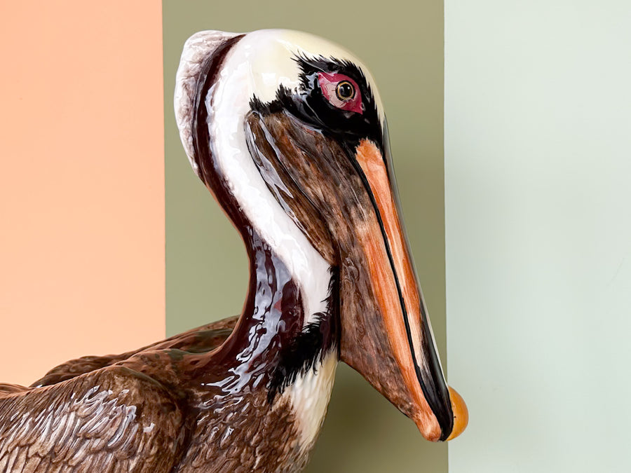 Large Old Florida Pelican Signed Townsends
