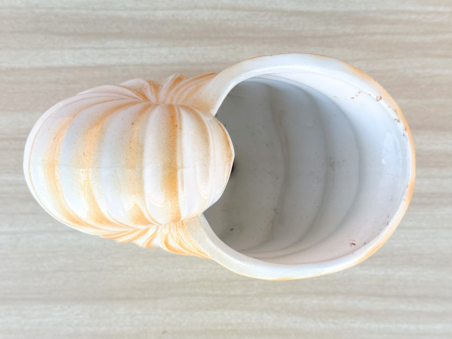 Coral Shell Cachepot
