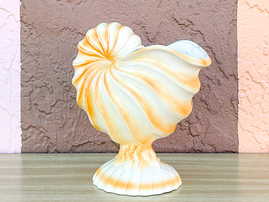 Coral Shell Cachepot