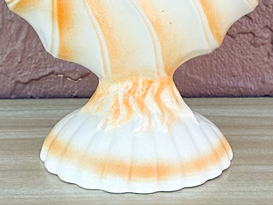 Coral Shell Cachepot
