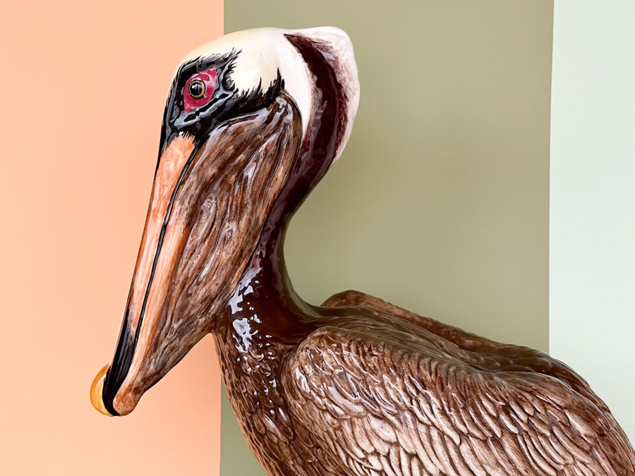 Large Old Florida Pelican Signed Townsends