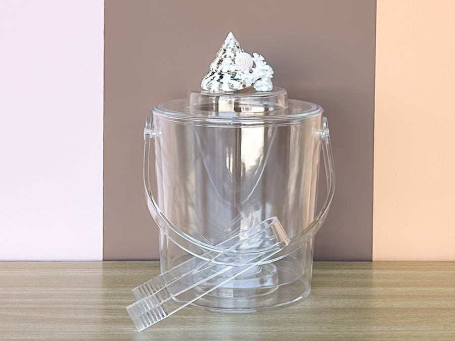Cone and Coral Lucite Ice Bucket