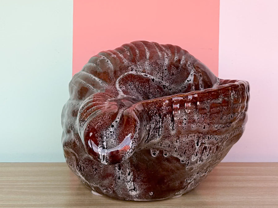 Large Old Florida Horse Conch Shell Cachepot