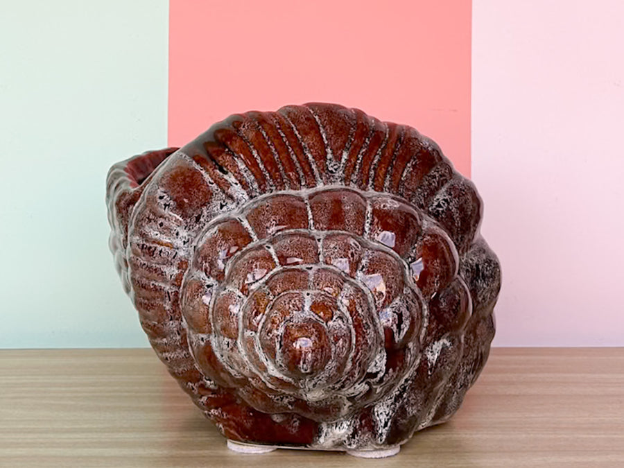 Large Old Florida Horse Conch Shell Cachepot