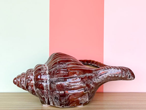 Large Old Florida Horse Conch Shell Cachepot