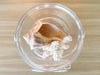 Lucite Shell Ice Bucket