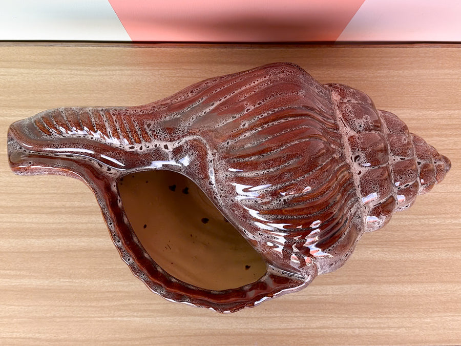 Large Old Florida Horse Conch Shell Cachepot