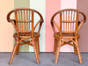 Pair of Cute Rattan Arm Chairs