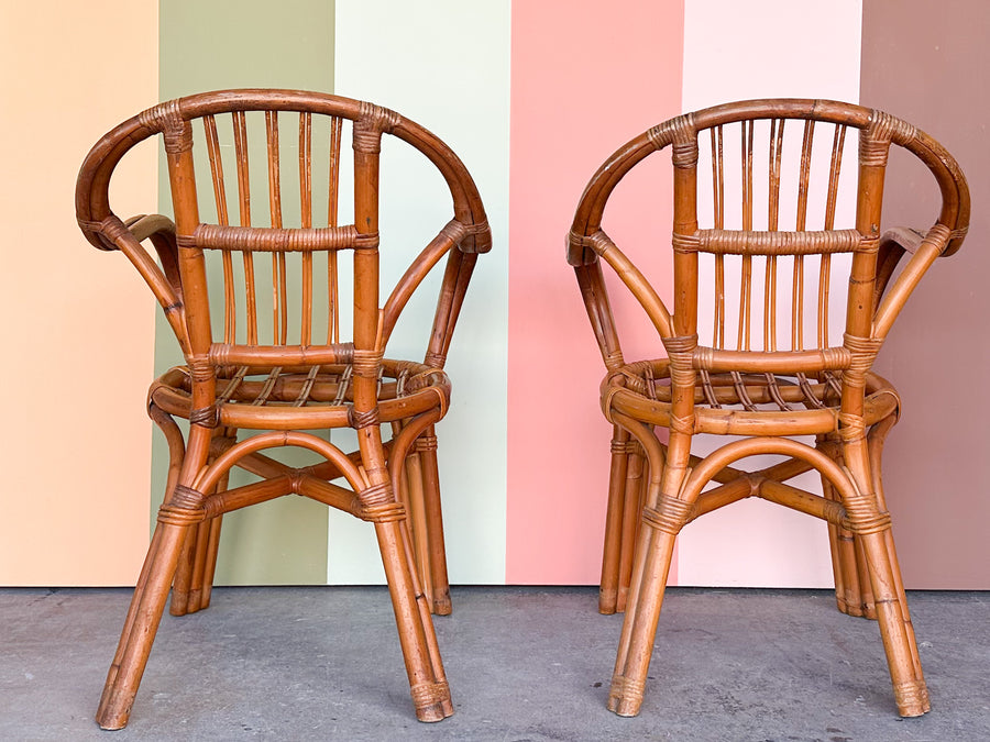 Pair of Cute Rattan Arm Chairs