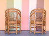 Pair of Brighton Style Rattan and Cane Chairs