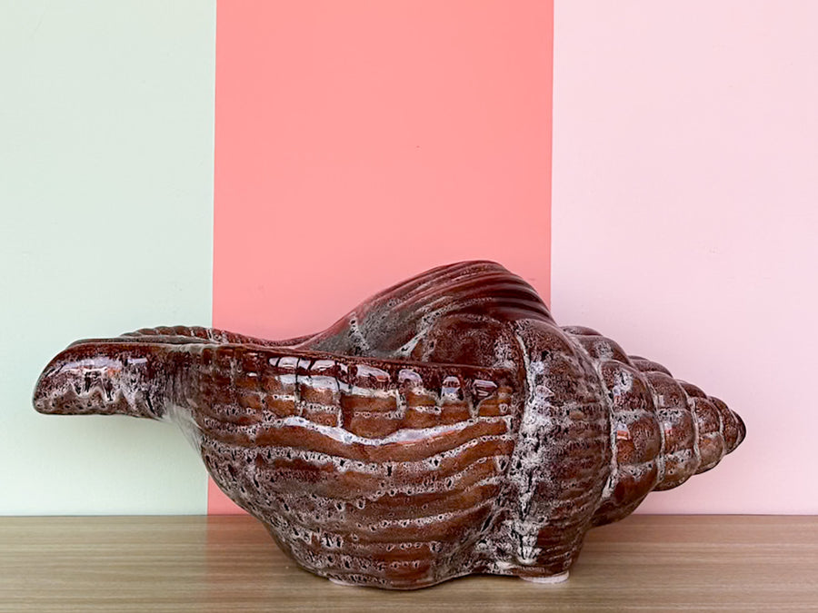 Large Old Florida Horse Conch Shell Cachepot