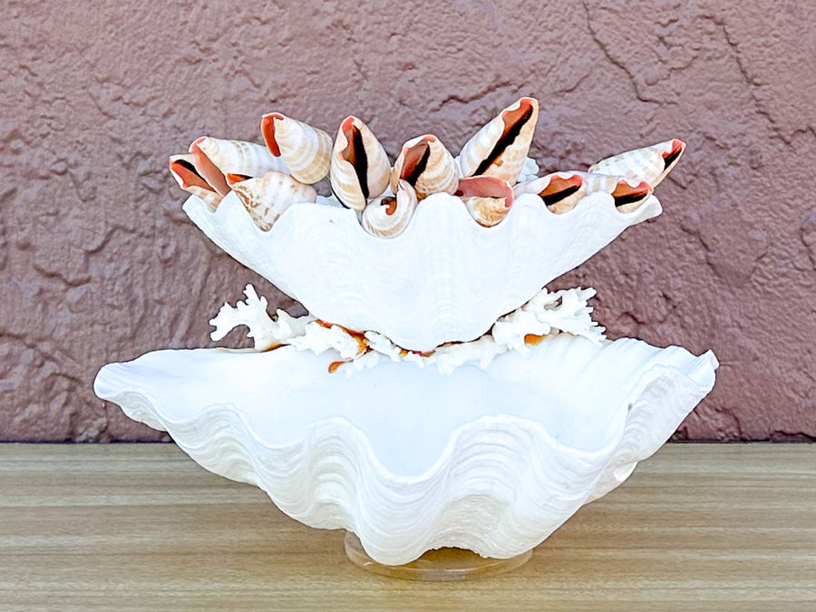 Seashell and Lucite Serving Set