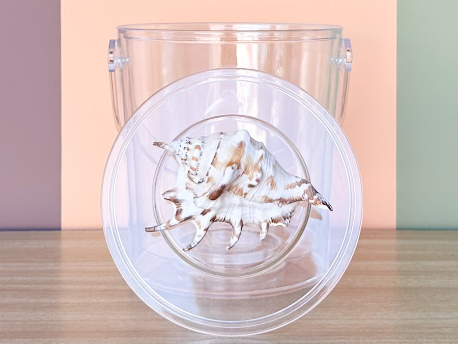 Lucite Shell Ice Bucket