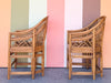 Pair of Brighton Style Rattan and Cane Chairs