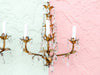 Pair of Italian Roche Style Sconces with Crystals