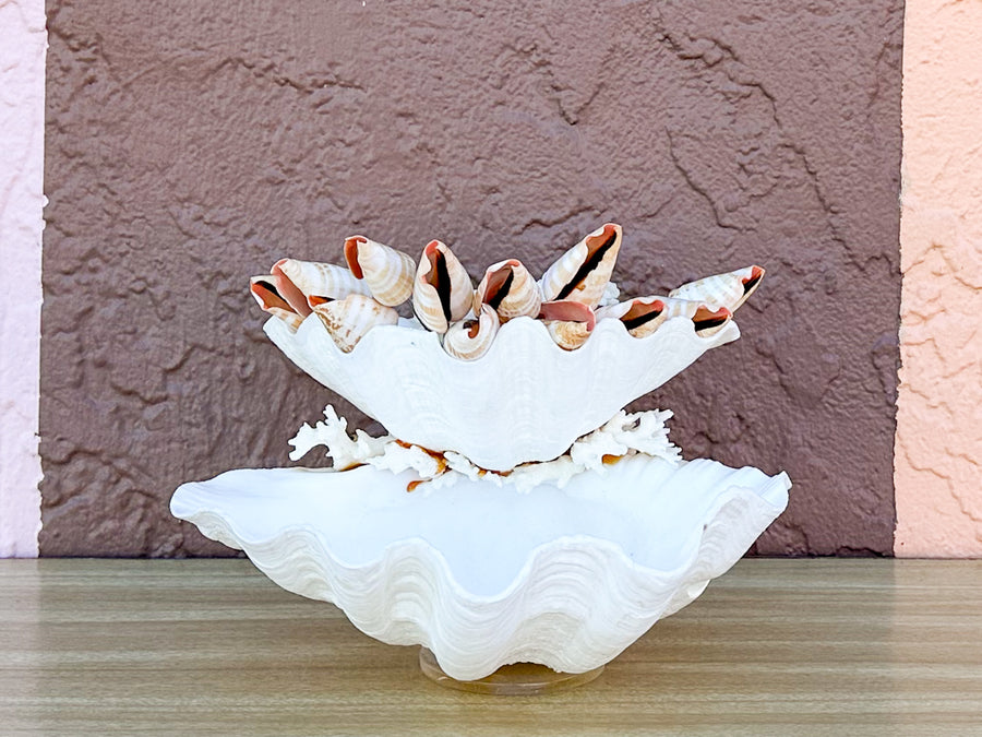 Seashell and Lucite Serving Set
